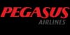 Pegasus Airlines